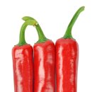 ㈜ 농우바이오 이미지