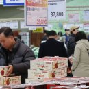 차관마트