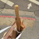 진영냥이 | 어김없이 아이 돌보러 다녔다..