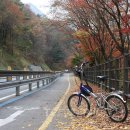 가족사랑자전거 이미지