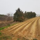 영광목장 이미지