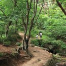 동화야영장 이미지