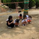 오목초등학교병설유치원 이미지