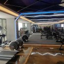 반 휘트니스 이미지