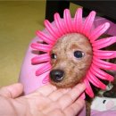 두리바이오
