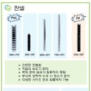 피그텔 이미지