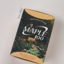 캐논 af35ml과 레토 신상 필름 메이플 100으로 장미 사진 기록