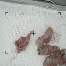 샤인이치과의원 이미지