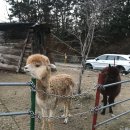 귀영농장 이미지