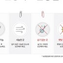골드로즈마리