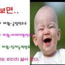 실버건강운동지도사(자격증) Daum카페