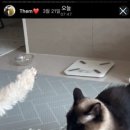 옹기종기 이미지