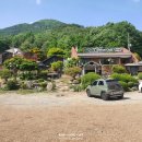 애견일번지 | [카우보이그릴] 콩딱이와 다녀온 제천애견동반식당 내돈내산 후기 (+예약, 할인 방법)