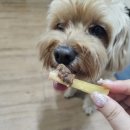 멈머(mummuh) 네이버블로그