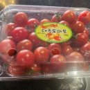 수빈목장 이미지