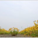 꽃길 - 이천시 사실로 1007 | 꽃길