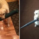 집안살림 이미지