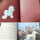 킴스애견미용실 | 대한민국에서 애견미용사로 산다는 것