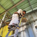 한국한우 이미지