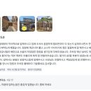 숨고 별점 5점 조경업체 : 그린존 조경연구소 숨고리뷰 (feat.주차장 렉산 지붕)