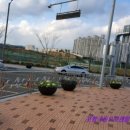 주정차054 이미지