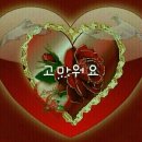 두손커피