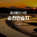 순천만습지 이미지