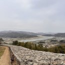 파사성 소나무 이미지