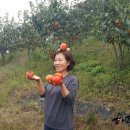 선암농장 이미지