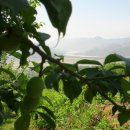 혁이농장 이미지