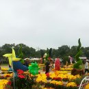 매화시장 이미지