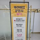 개린이집 | 전주 서원로 개린이집 강아지 분양 – 귀여운 반달이와의 첫 만남
