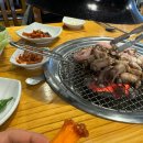 이가네산꼼장어
