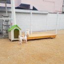 맡기고가개 이미지