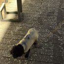 훈일식 | 어이 최씨 믹스커피 좀 부탁해