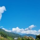 파랑새민박 이미지