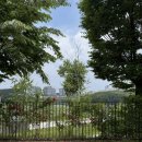 준영농장 | 위기를 기회로 🍀