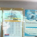 통영 욕지도 배편 예약부터 시간표, 차량선적까지 영동해운 크리스탈호 후기