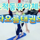 차오름 태권도장 이미지