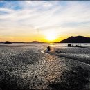 2025 세계유산축전-선암사·순천갯벌 이미지