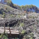 ㈜엔진텍 이미지