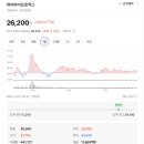 와이홀딩