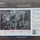 금광초등학교조령분교 이미지