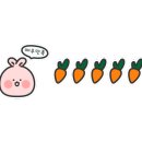 도그베이 수원 네이버블로그