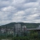 양원숲초등학교 | 일기 : 또 캐롤스, 1000일 시진, 어린이대공원, 야구, 수박수영장 전시