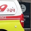 나주종합동물병원 이미지