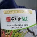 진짜배기순천만함초 | '진짜배기 순천만 함초환'으로 건강관리, 체질개선 도전!!