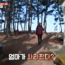 여왕벌민박 이미지