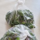 고모농장 이미지