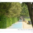 삼한노인대학 이미지